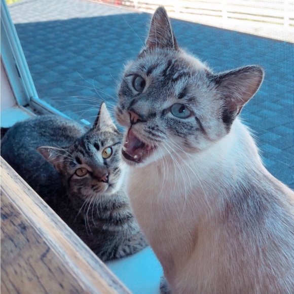 🌸 MEET ME 🌸 - Picture 2 of 2